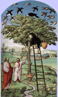 El árbol filosófico